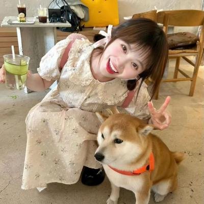 那年夏天有风吹过