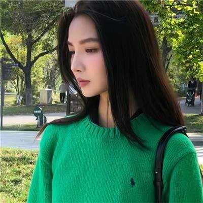 驯鹿大冒险：超越北极光